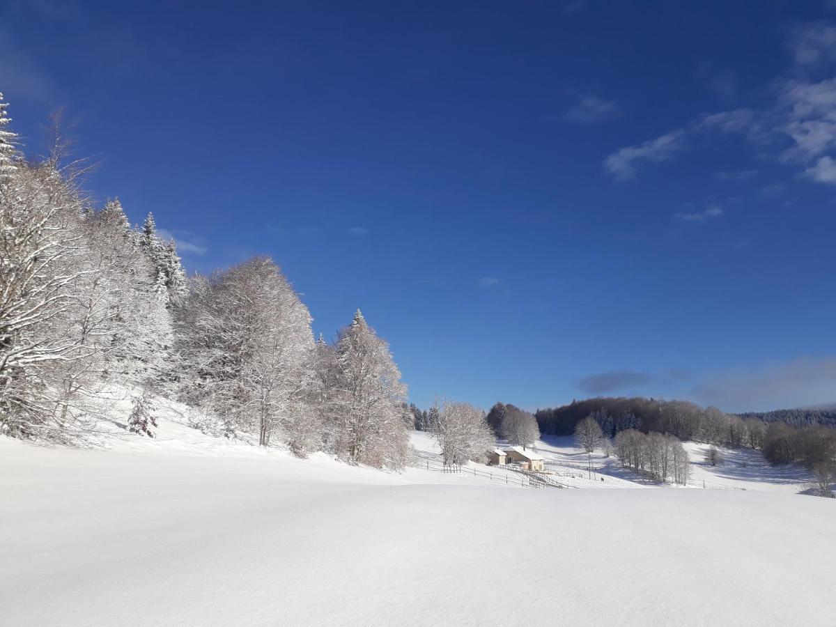 Gite Des 3 Marches Lamoura Bagian luar foto